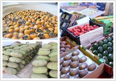 禅城南庄大型水果批发市场开业，市民迎来“水果自由”新选择